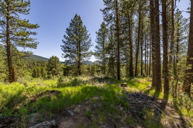 Rarely Available View Lot on Huckleberry Place! Don't miss this on Jug Mountain Ranch Golf Course in Idaho - for sale on GolfHomes.com, golf home, golf lot
