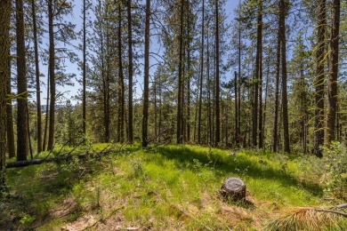 Rarely Available View Lot on Huckleberry Place! Don't miss this on Jug Mountain Ranch Golf Course in Idaho - for sale on GolfHomes.com, golf home, golf lot