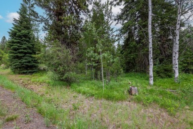 Discover your dream mountain lifestyle on this generous on Whitetail Golf Club in Idaho - for sale on GolfHomes.com, golf home, golf lot