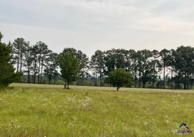 Beautiful lots on award winning Southern Hills Golf Course in on Southern Hills Golf Club in Georgia - for sale on GolfHomes.com, golf home, golf lot