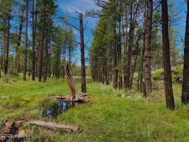 Beautifully renovated split bedroom floor plan with 2 primary on Pinetop Lakes Golf and Country Club in Arizona - for sale on GolfHomes.com, golf home, golf lot