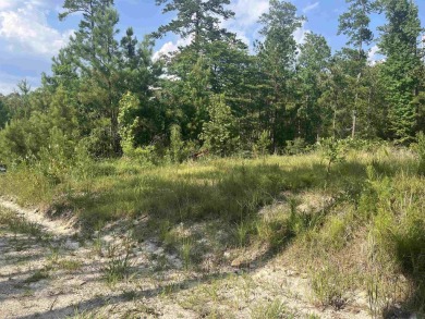 Build your East Texas dream home in Rayburn Country! This on Rayburn Country Club in Texas - for sale on GolfHomes.com, golf home, golf lot