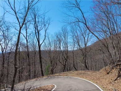 Privacy and Views in the mountains. Enjoy astonishingly on Big Canoe Golf Club - Cherokee in Georgia - for sale on GolfHomes.com, golf home, golf lot