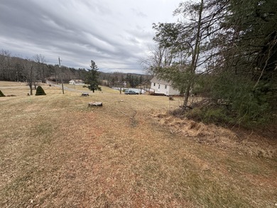 Perfectly positioned on the 9th green and situated on 2+ acres on Skyland Lakes Golf Course in Virginia - for sale on GolfHomes.com, golf home, golf lot