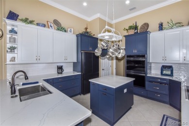WHEN YOU WALK THROUGH THE FRONT DOOR OF THIS GORGEOUS HOME you on Skyview At Terra Vista Golf and Country Club in Florida - for sale on GolfHomes.com, golf home, golf lot