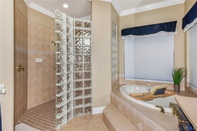 WHEN YOU WALK THROUGH THE FRONT DOOR OF THIS GORGEOUS HOME you on Skyview At Terra Vista Golf and Country Club in Florida - for sale on GolfHomes.com, golf home, golf lot