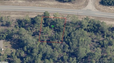 INVESTOR AND BUILDER ALERT!! 1/4 acre parcel in Citrus Springs!! on Pine Ridge Community Golf and Country Club in Florida - for sale on GolfHomes.com, golf home, golf lot