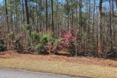Lake Front Lot located in Savannah Point community within on Monticello Golf Club At Savannah Lakes in South Carolina - for sale on GolfHomes.com, golf home, golf lot