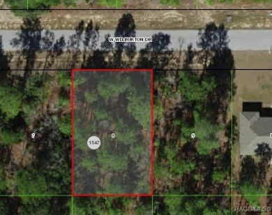 Picturesque homesite in Citrus Springs offering an incredible on Pine Ridge Community Golf and Country Club in Florida - for sale on GolfHomes.com, golf home, golf lot