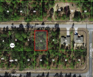 Picturesque homesite in Citrus Springs offering an incredible on Pine Ridge Community Golf and Country Club in Florida - for sale on GolfHomes.com, golf home, golf lot