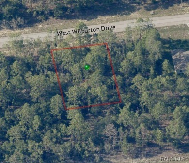 Picturesque homesite in Citrus Springs offering an incredible on Pine Ridge Community Golf and Country Club in Florida - for sale on GolfHomes.com, golf home, golf lot
