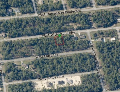 Picturesque homesite in Citrus Springs offering an incredible on Pine Ridge Community Golf and Country Club in Florida - for sale on GolfHomes.com, golf home, golf lot