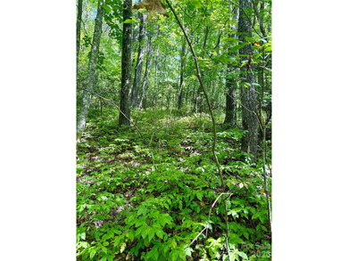Build the mountain home you've always imagined in the desirable on Sapphire National Golf Club in North Carolina - for sale on GolfHomes.com, golf home, golf lot