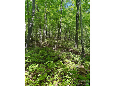 Build the mountain home you've always imagined in the desirable on Sapphire National Golf Club in North Carolina - for sale on GolfHomes.com, golf home, golf lot