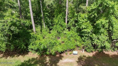 Buy a beautiful golf course lot and build your dream home in one on Harbour Point Golf Club in North Carolina - for sale on GolfHomes.com, golf home, golf lot