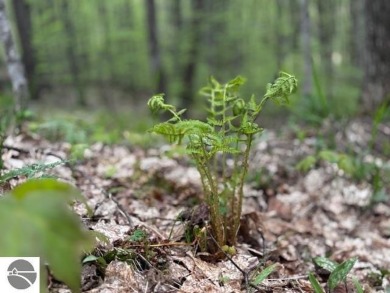 Go beyond the gated entrance, where a wooded winding drive on  in Michigan - for sale on GolfHomes.com, golf home, golf lot