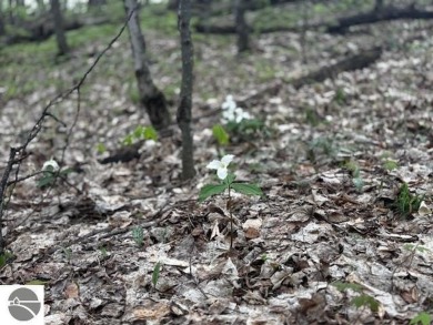Go beyond the gated entrance, where a wooded winding drive on  in Michigan - for sale on GolfHomes.com, golf home, golf lot