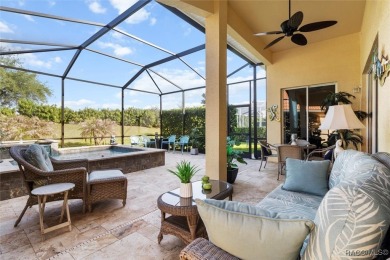 IT IS RARE TO FIND A TERRA VISTA CAREFREE HOME, REMINISCENT OF A on Skyview At Terra Vista Golf and Country Club in Florida - for sale on GolfHomes.com, golf home, golf lot