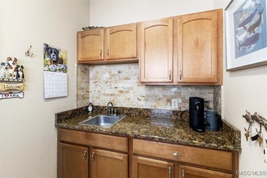 IT IS RARE TO FIND A TERRA VISTA CAREFREE HOME, REMINISCENT OF A on Skyview At Terra Vista Golf and Country Club in Florida - for sale on GolfHomes.com, golf home, golf lot