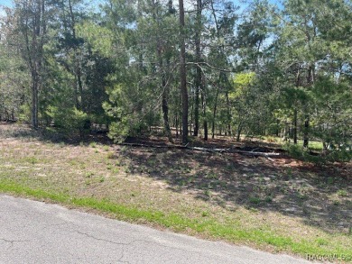 Beautiful lot in Sugarmill Woods Oak Village Community,. Easy on Sugarmill Woods Golf and Country Club in Florida - for sale on GolfHomes.com, golf home, golf lot