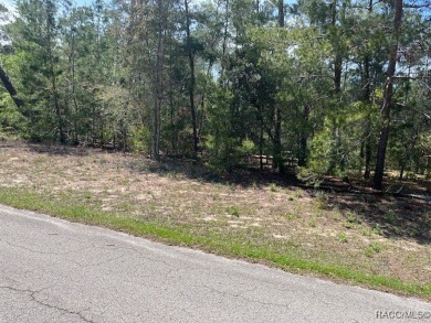 Beautiful lot in Sugarmill Woods Oak Village Community,. Easy on Sugarmill Woods Golf and Country Club in Florida - for sale on GolfHomes.com, golf home, golf lot