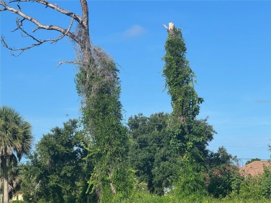 Excellent opportunity to build your dream home on a beautiful on Rotonda Golf and Country Club - Long Marsh  in Florida - for sale on GolfHomes.com, golf home, golf lot