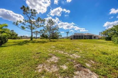 Experience the Perfect Blend of Space, Style, and Privacy. Step on Rotonda Golf and Country Club - Long Marsh  in Florida - for sale on GolfHomes.com, golf home, golf lot