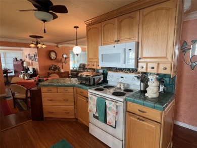 NEW REDUCED PRICE! Delight in the features of Palm Hill Country on Palm Hill Golf Club in Florida - for sale on GolfHomes.com, golf home, golf lot