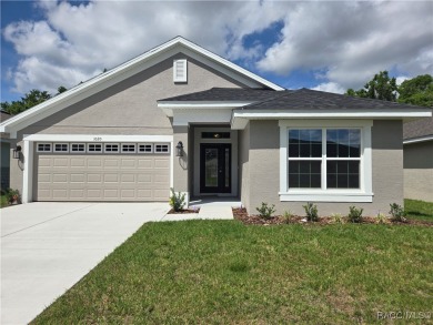 THE WILLOW - Located in * The Premier Gated, Lakeside Community on Inverness Golf and Country Club in Florida - for sale on GolfHomes.com, golf home, golf lot