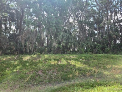 LAKESIDE BREEZE - Located in * The Premier Gated, Lakeside on Inverness Golf and Country Club in Florida - for sale on GolfHomes.com, golf home, golf lot