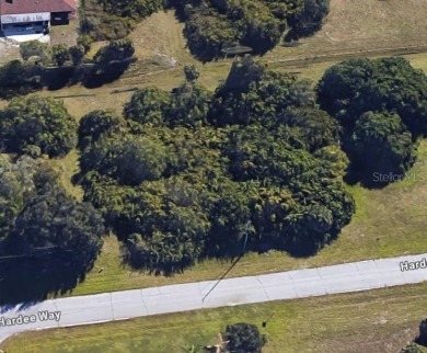 PRICE REDUCTION!!!!!!!!Build your *FLORIDA DREAM HOME* on this on Rotonda Golf and Country Club The Palms Course in Florida - for sale on GolfHomes.com, golf home, golf lot