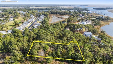 PREMIER WATER-VIEW HOMESITE in Barnes Bluff -- At nearly an acre on South Harbour Golf Links in North Carolina - for sale on GolfHomes.com, golf home, golf lot
