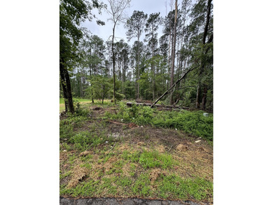 If you are seeking a natural, serene setting, within close on Monticello Golf Club At Savannah Lakes in South Carolina - for sale on GolfHomes.com, golf home, golf lot