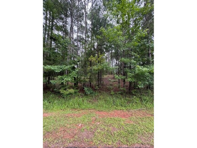 Looking for a moderately priced interior lot within close on Monticello Golf Club At Savannah Lakes in South Carolina - for sale on GolfHomes.com, golf home, golf lot