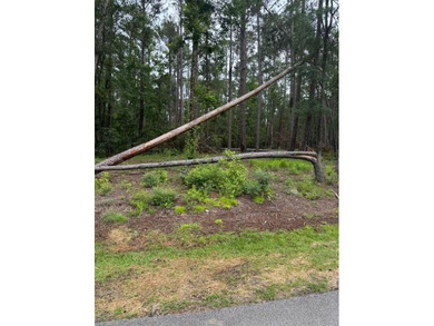 Discover your ideal homesite within Savannah Lakes Village on Monticello Golf Club At Savannah Lakes in South Carolina - for sale on GolfHomes.com, golf home, golf lot