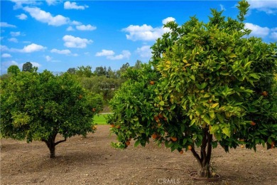 Welcome to this exquisite custom single-story home located in on Spanish Hills Golf and Country Club in California - for sale on GolfHomes.com, golf home, golf lot