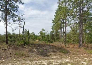Discover an excellent opportunity to own a .23-acre corner on Citrus Springs Country Club in Florida - for sale on GolfHomes.com, golf home, golf lot