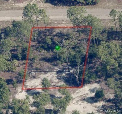 Discover an excellent opportunity to own a .23-acre corner on Citrus Springs Country Club in Florida - for sale on GolfHomes.com, golf home, golf lot