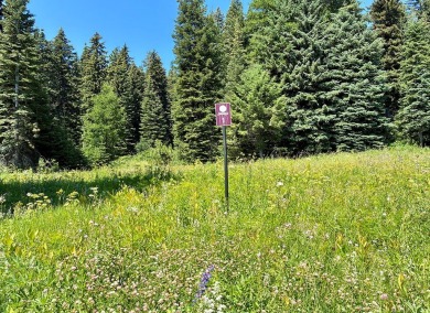 Tamarack Resort Custom Estate Lot 1.Premier neighborhood on Osprey Meadows at Tamarack Resort in Idaho - for sale on GolfHomes.com, golf home, golf lot