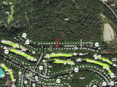 Very nice northern rear exposure lot. Seller has four adjacent on El Diablo Golf and Country Club in Florida - for sale on GolfHomes.com, golf home, golf lot
