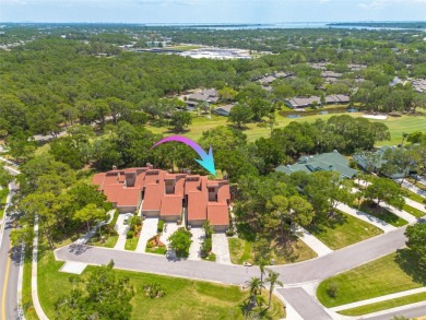 EXQUISITELY REMODELED two-story townhome in the heart of the on East Lake Woodlands Country Club in Florida - for sale on GolfHomes.com, golf home, golf lot