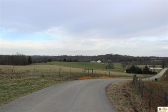 121 ACRE CROP/CATTLE FARM, WITH A NEWLEY REMODELED 3 BEDROOM, 2 on Kentucky Hills Golf Course in Kentucky - for sale on GolfHomes.com, golf home, golf lot