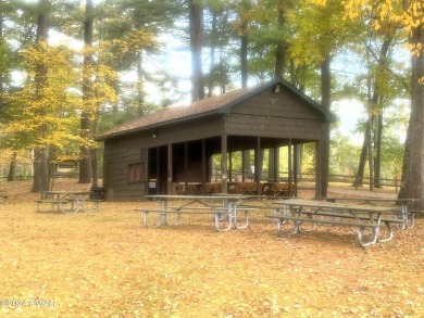 LOST IN THE WOODS vacant lot, over 4 acres and backing onto on Woodloch Springs Country Club in Pennsylvania - for sale on GolfHomes.com, golf home, golf lot