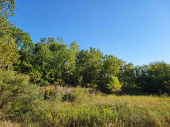 Great potential for 87.61+/- acres! This property on the edge of on Lacoma Golf Club in Illinois - for sale on GolfHomes.com, golf home, golf lot