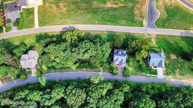 Take advantage of this amazing view and gorgeous sunsets in TN on Tennessee National Golf Club in Tennessee - for sale on GolfHomes.com, golf home, golf lot