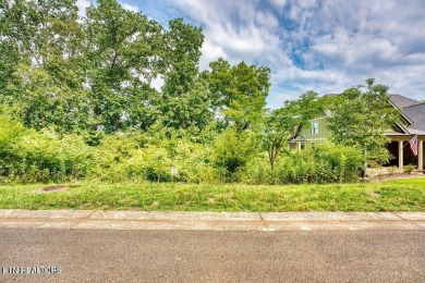 Take advantage of this amazing view and gorgeous sunsets in TN on Tennessee National Golf Club in Tennessee - for sale on GolfHomes.com, golf home, golf lot