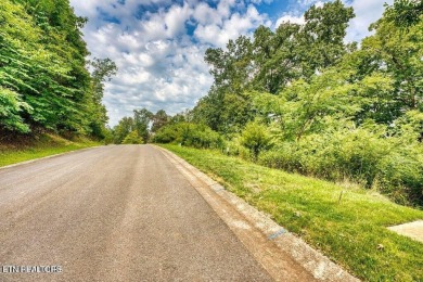 Take advantage of this amazing view and gorgeous sunsets in TN on Tennessee National Golf Club in Tennessee - for sale on GolfHomes.com, golf home, golf lot