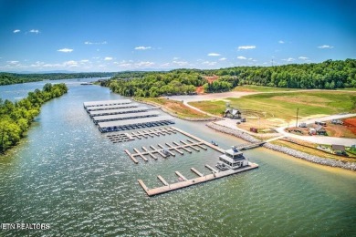 Take advantage of this amazing view and gorgeous sunsets in TN on Tennessee National Golf Club in Tennessee - for sale on GolfHomes.com, golf home, golf lot