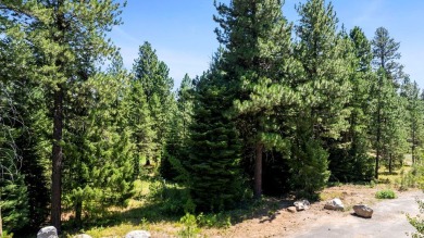 Discover the ultimate mountain lifestyle with this exceptional on Osprey Meadows at Tamarack Resort in Idaho - for sale on GolfHomes.com, golf home, golf lot