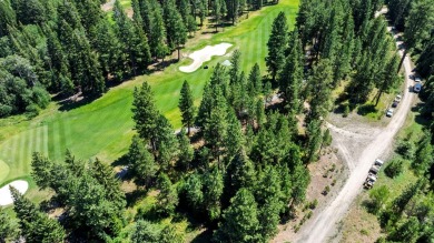 Discover the ultimate mountain lifestyle with this exceptional on Osprey Meadows at Tamarack Resort in Idaho - for sale on GolfHomes.com, golf home, golf lot